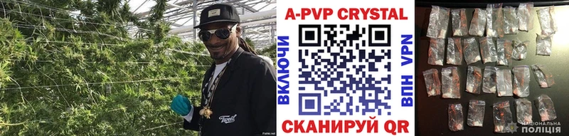 A-PVP крисы CK  где найти   Красный Холм 