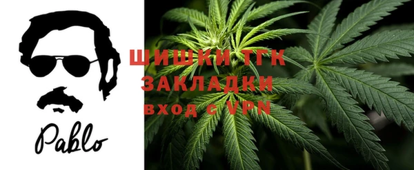 прущие грибы Балабаново