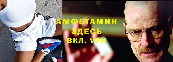 прущие грибы Балабаново