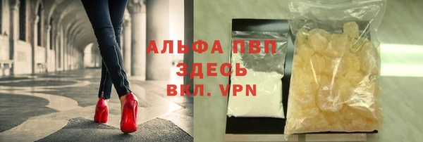 прущие грибы Балабаново