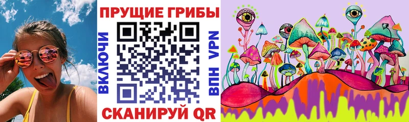 Псилоцибиновые грибы Cubensis  Красный Холм 